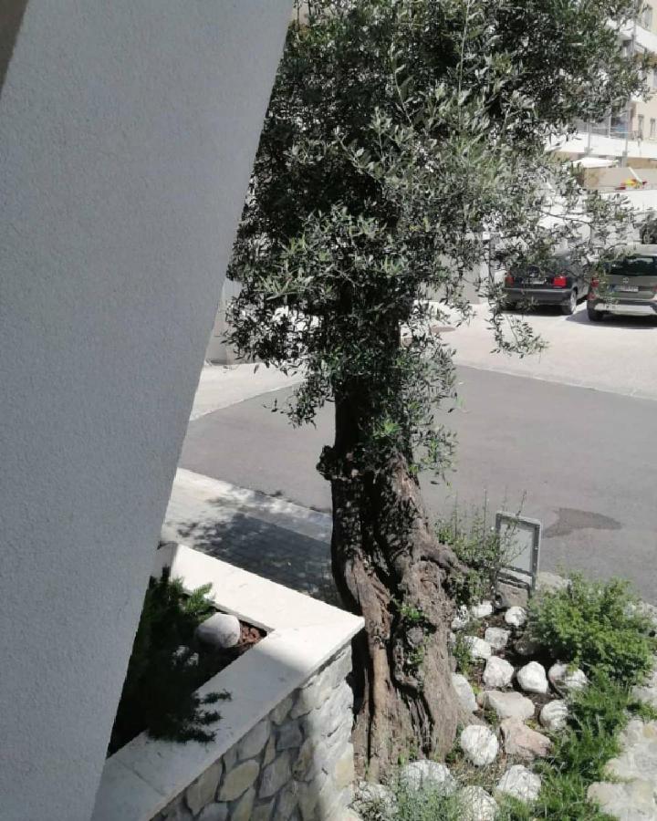 Mondi Azzurri Apartment Budva Exterior photo